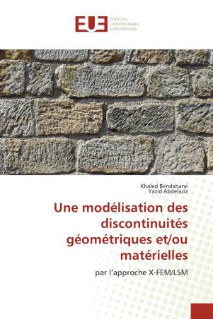 Une modélisation des discontinuités géométriques et/ou matérielles