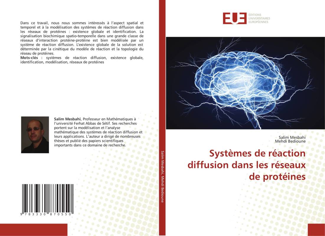 Systèmes de réaction diffusion dans les réseaux de protéines