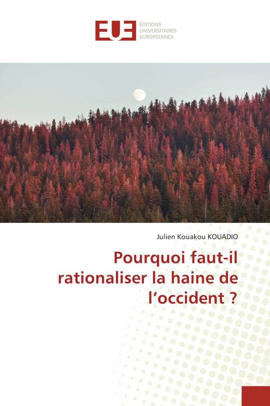 Pourquoi faut-il rationaliser la haine de l’occident ?