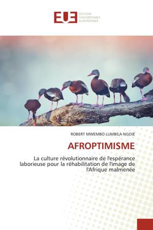 AFROPTIMISME