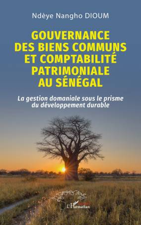 Gouvernance des biens communs et comptabilité patrimoniale au Sénégal