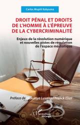 Droit pénal et droits de l’homme à l’épreuve de la cybercriminalité