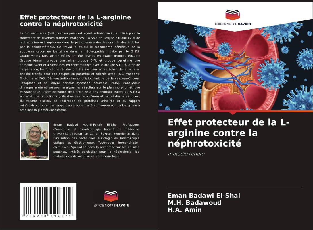 Effet protecteur de la L-arginine contre la néphrotoxicité