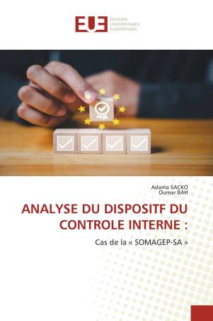 ANALYSE DU DISPOSITF DU CONTROLE INTERNE :