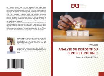 ANALYSE DU DISPOSITF DU CONTROLE INTERNE :