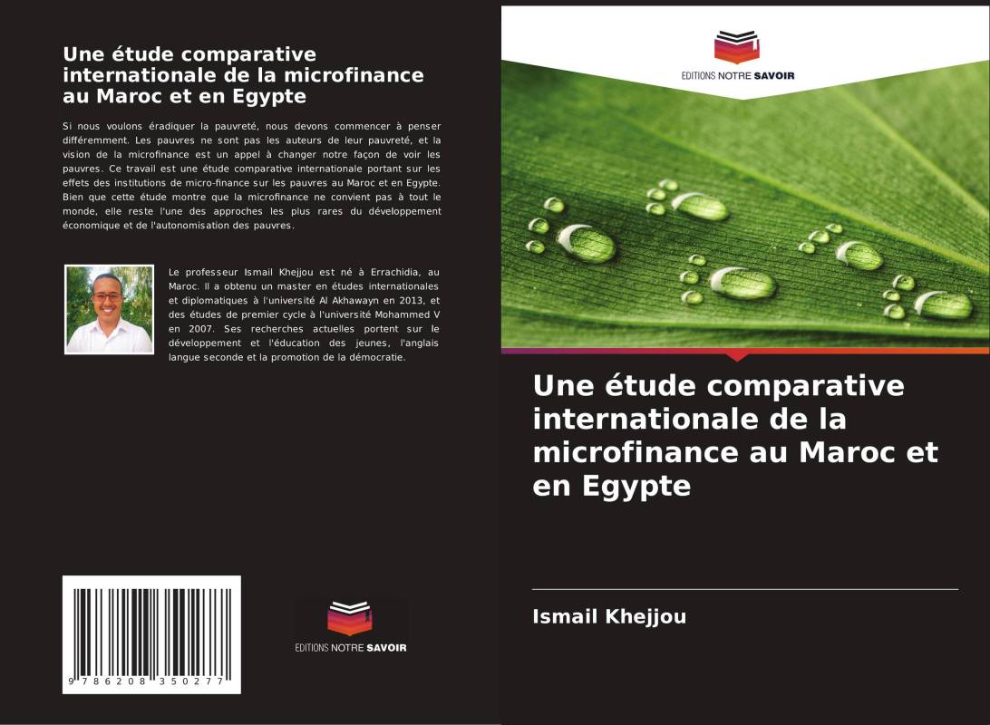 Une étude comparative internationale de la microfinance au Maroc et en Egypte