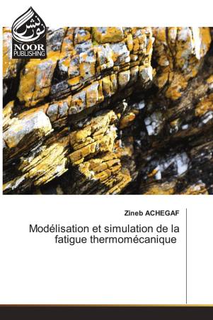 Modélisation et simulation de la fatigue thermomécanique