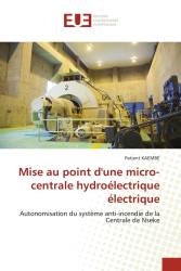 Mise au point d'une micro-centrale hydroélectrique électrique