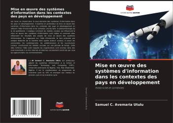 Mise en œuvre des systèmes d'information dans les contextes des pays en développement