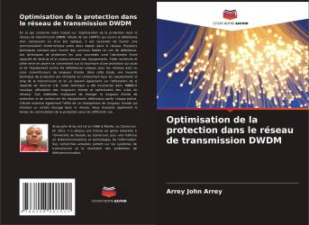 Optimisation de la protection dans le réseau de transmission DWDM