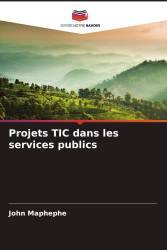 Projets TIC dans les services publics