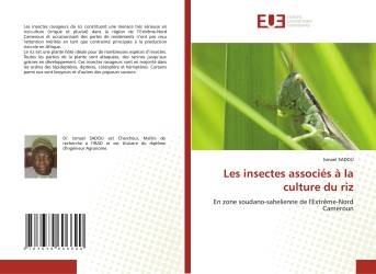 Les insectes associés à la culture du riz