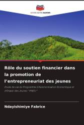 Rôle du soutien financier dans la promotion de l’entrepreneuriat des jeunes