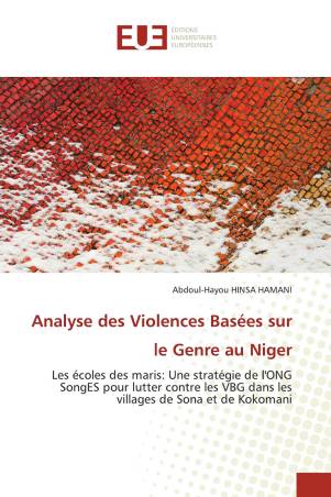 Analyse des Violences Basées sur le Genre au Niger