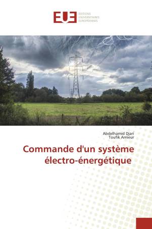 Commande d&#039;un système électro-énergétique