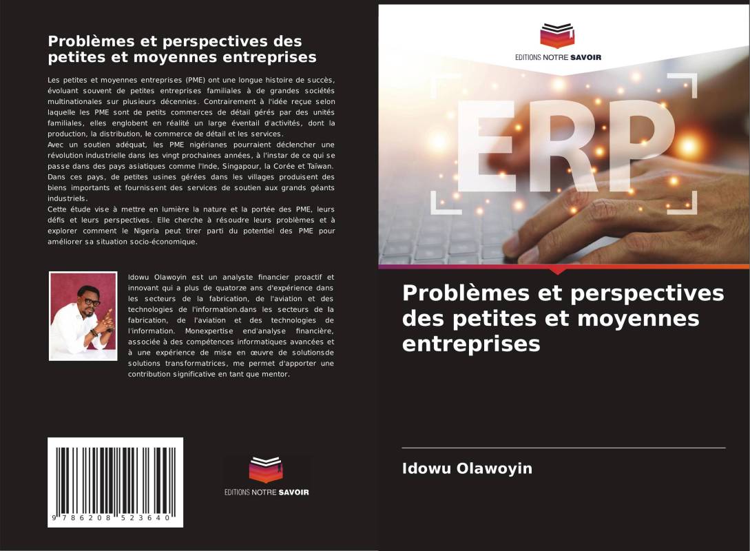 Problèmes et perspectives des petites et moyennes entreprises