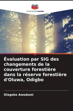 Évaluation par SIG des changements de la couverture forestière dans la réserve forestière d'Oluwa, Odigbo