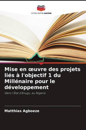 Mise en œuvre des projets liés à l'objectif 1 du Millénaire pour le développement