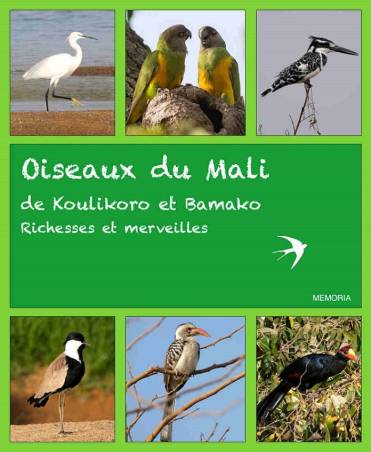 Oiseaux du Mali de Koulikoro et Bamako. Richesses et merveilles