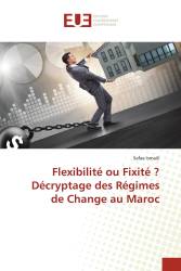 Flexibilité ou Fixité ? Décryptage des Régimes de Change au Maroc