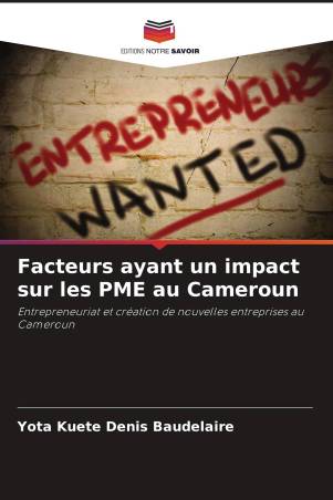 Facteurs ayant un impact sur les PME au Cameroun