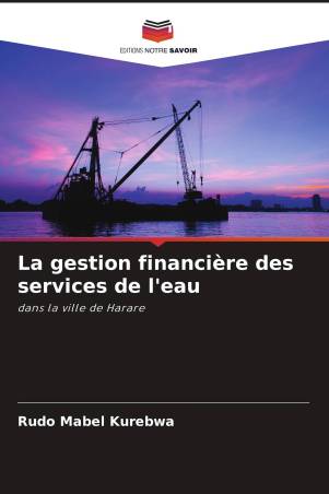 La gestion financière des services de l'eau