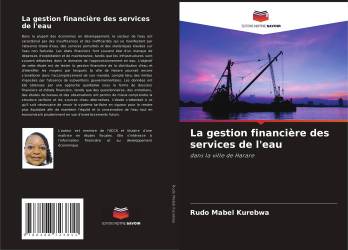 La gestion financière des services de l'eau