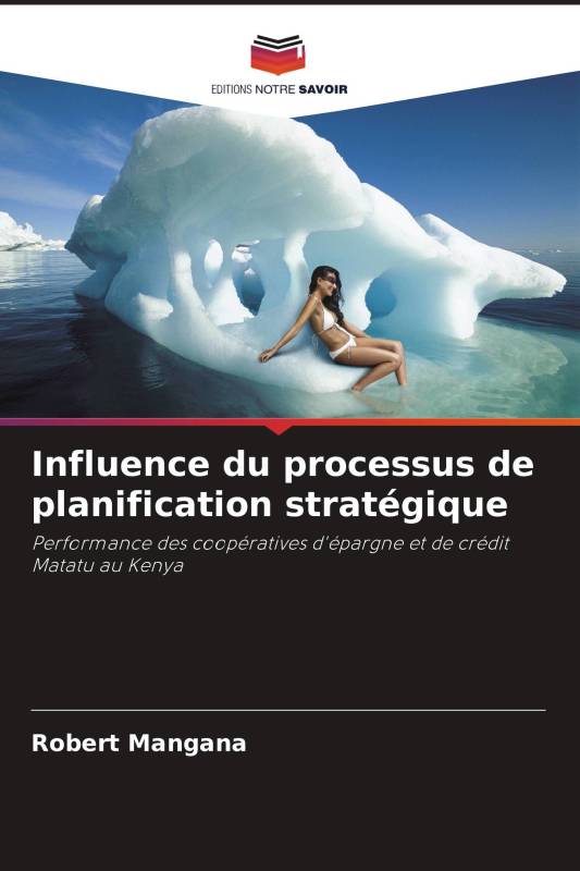 Influence du processus de planification stratégique Influence du processus de planification stratégique