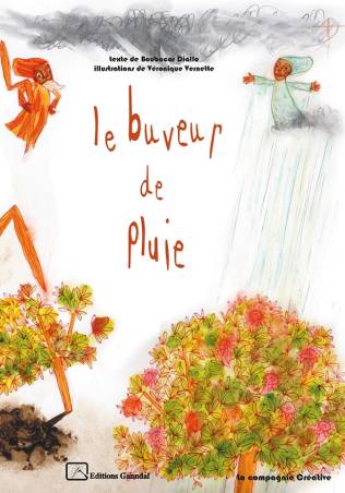 Le buveur de pluie Boubacar Diallo, Véronique Vernette