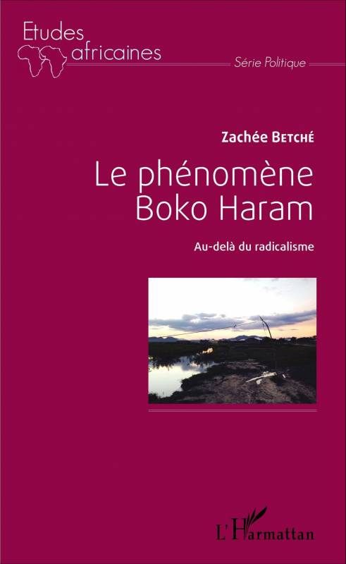 Le phénomène Boko Haram