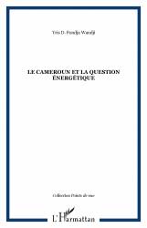 Le Cameroun et la question énergétique