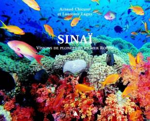 Sinaï, Visions de plongeurs en mer Rouge de Arnaud Chicurel et Laurence Lagny