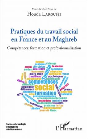 Pratiques du travail social en France et au Maghreb de Houda Laroussi