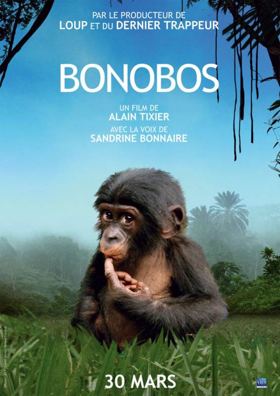 Bonobos de Alain Tixier