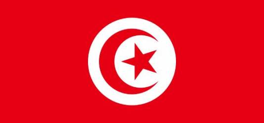 La Tunisie s'invite chez vous : livres tunisiens, films tunisiens, musique tunisienne...