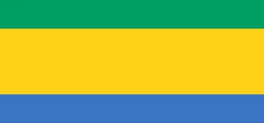 Le Gabon s'invite chez vous : décoration gabonaise, livres gabonais...