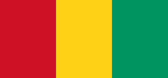 La Guinée s'invite chez vous : décoration guinéenne, livres guinéens